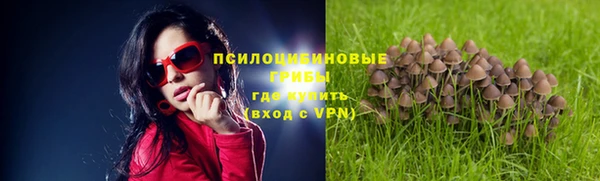 ешки Армянск