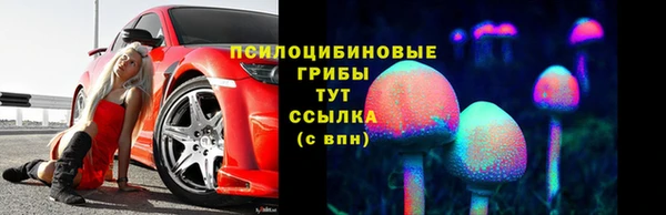СК Аркадак
