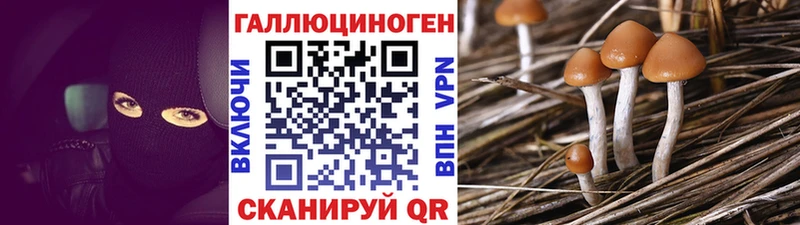 Галлюциногенные грибы прущие грибы Сосновый Бор